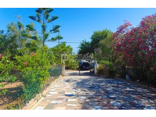 Big Plot Of Land With 1250m2..
