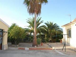 Ref.222 Finca e-PR. VILLA, OLIVA