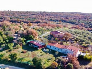 Rovinj,hacienda,3 kuće,11 000m2,pogled more