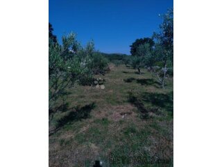 Građevinsko zemljište -1950m2-Vinjerac
