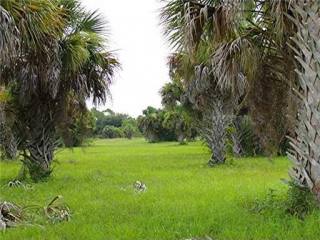 Land For Sale: 16257 San Edmundo Rd..