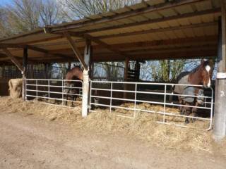 Ideal Equestrian Property