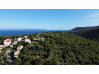 LABIN,okolica,,poljoprivredno zemljište (MASLINIK I ŠUMA) ,g