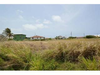Property For Sale: Fortescue, Palm..