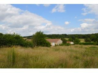 Super building plot of 3023m² - 5 mins..