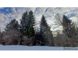 Leskova Draga - Šuma uz potočić površine 32524 m2