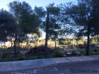 This fantastic plot located in Sol de Mallorca has a south..
