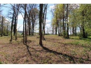 28045 - Vente - Terrain - Vergt