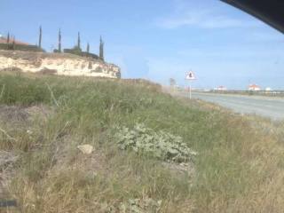 Larnaca