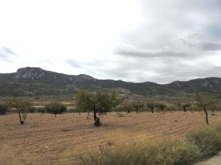 Undeveloped Land of 11,000m2 With Good..