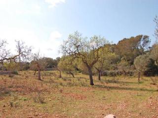 Rustic plot near Palma