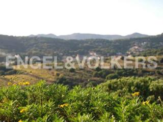 The best land with the best views. Teia.