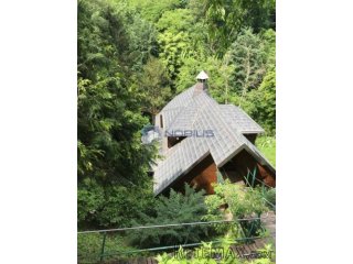 Zagreb, Tuškanac, vila 240 m2 + 110 m2 ured
