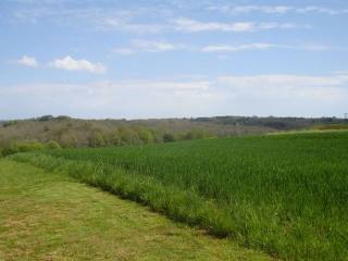 28078 - Vente - Terrain - Vergt