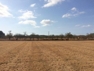Building plot in a quiet area and open..