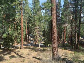 Land For Sale: Glenbrook, Nevada
