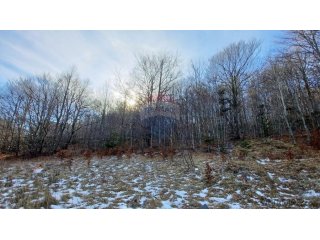 Bribir, Veli Laz - građevinski teren 2930 m2