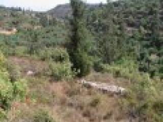 Plot On A Small Hill In Apokorona