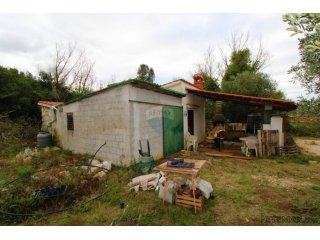 Rovinj,kuća 70m2 i maslenik