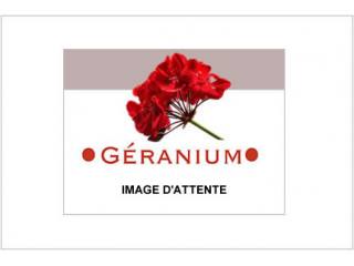Studio Appartement, St Jean d Aulps - A..
