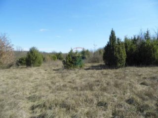 Istra, Žminj, građevinsko zemljište sa započetom gradnjom