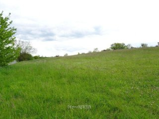 Lot et Garonne - St Eutrope de Born -..