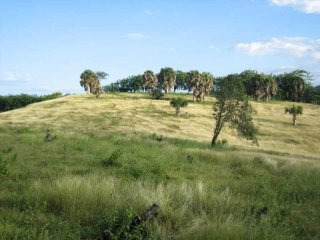 Farmland In Cabarete