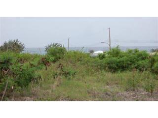Property For Sale: Plover Court Lot 41..