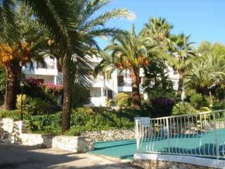 1 Bedroom Apartment in La Sella