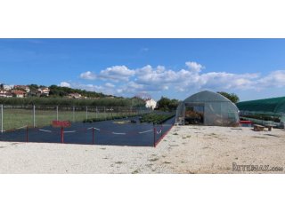 Istra, Poreč, Parcela u okolici Poreča od 10.197 m2 s 3 plas