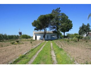V000150, Countryhouse In Need Of..