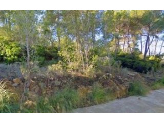 plot for sale in cala vinyas