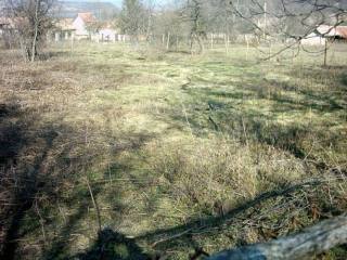 Regulated plot of land for sale near..