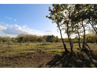 Istra,Kaštelir, Labinci, poljoprivredno zemljište, 8 578 m2