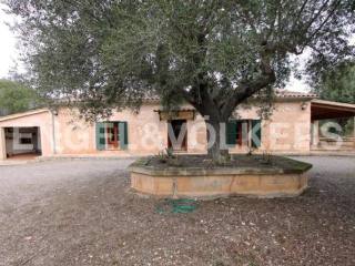 Rustic estate in San Lorenzo