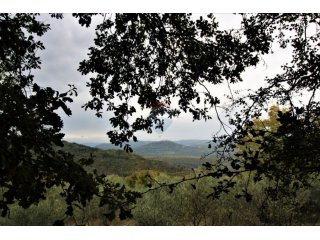 Istra, Oprtalj, imanje s otvorenim pogledom