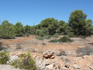 Several Building Plots In Vallgornera