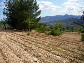 PLOTS OF LAND LA ROMANA JSP101