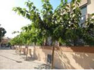 Bungalow, Alicante (Costa Blanca)..