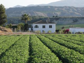 Villa For Sale In Cuevas Del Almanzora..