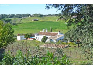 Cazalla de la Sierra: Farm, finca near..