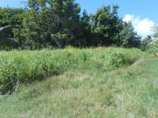 Property For Sale: Blowers Lot 15, St...