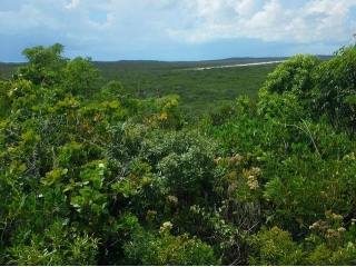 Singlefamilyvacant - Lot #49, Sunset..