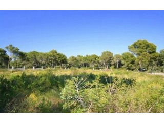 Plot for sale in Nova Santa Ponsa