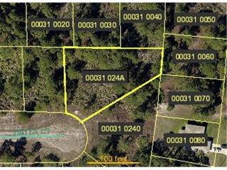 Land For Sale: Lehigh Acres, Florida