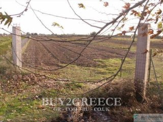 B656 - TO SALE