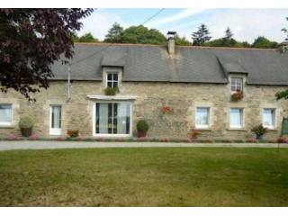 Longere with Much More Potential