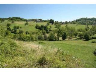 Meyssac (19) : For sale : Lovely parcel..