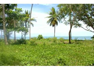 Long Beach - 10 Rai Sea Front Land in..