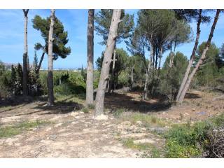 Plot in Javea